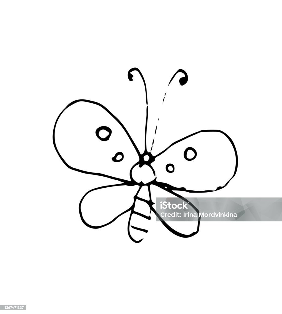 Butterfly Outline Sketch Funny Comical Insect Hand Drawing Is ...