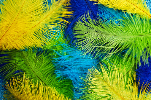 Brazilian background from feathers in the Brazilian ethnic color. Rio carnival, mardi gras background.