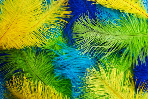 brazilian background from feathers in the brazilian ethnic color. rio carnival, mardi gras background - carnival parade imagens e fotografias de stock