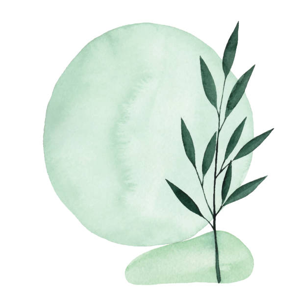 illustrazioni stock, clip art, cartoni animati e icone di tendenza di acquerello verde sfondo astratto con pianta - spa
