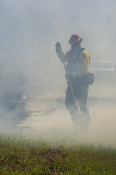 istock Firefighter in protective gear using tool to put out smoky grass fire with layer of heavy smoke on the ground 1367481874