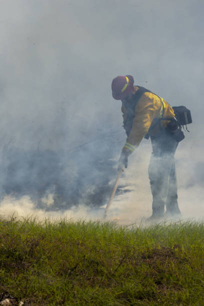 istock Side view of firefighter in protective gear using tool to put out smoky grass fire with unburned area in foreground 1367481983
