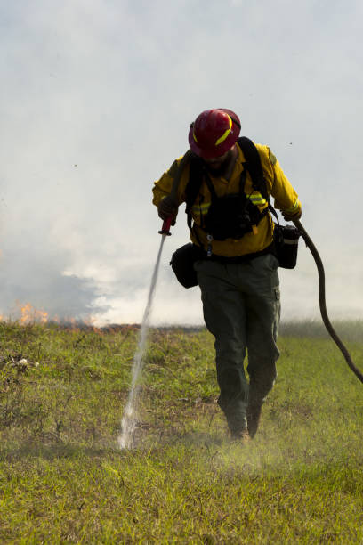 istock Front view of firefighter in protective gear use fire hose to wet grassy ground in front of fire 1367482001