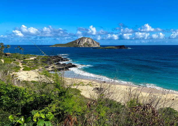 istock Makapu’u Beach and Rabbit Island 1367485275