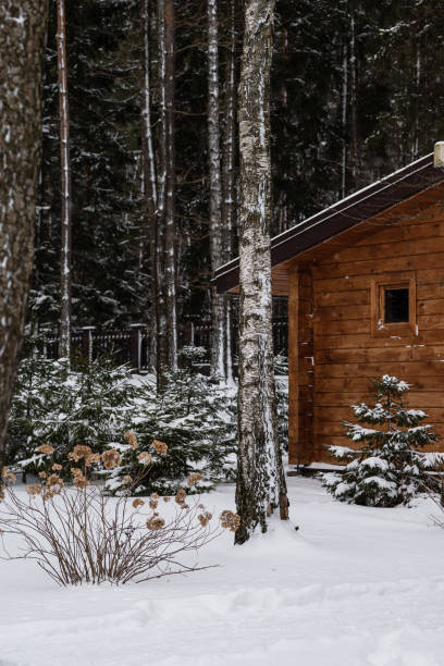 istock Wooden house in the winter forest 1367488197