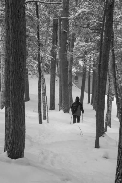 istock A walk in the Canadian wild forest in winter 1367490662