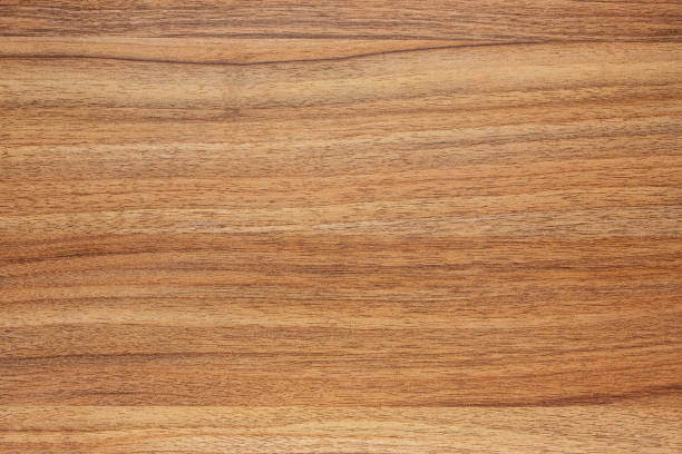 istock Grunge old brown wood door textured background 1367493888