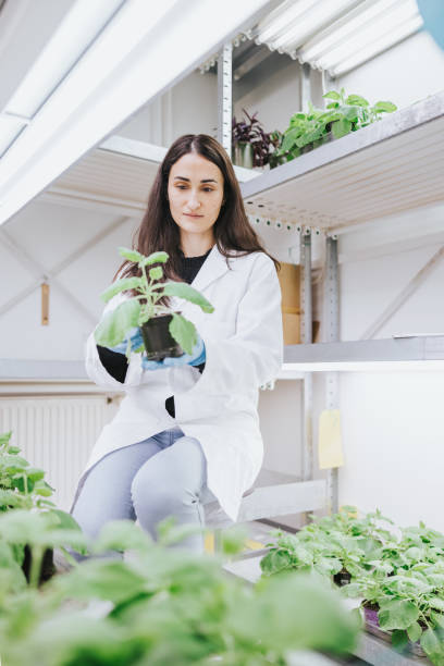 istock Female scientist examining plant 1367496486