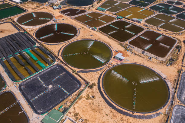 istock Shrimp hatchery lake farm in Ninh Phuoc district 1367497156