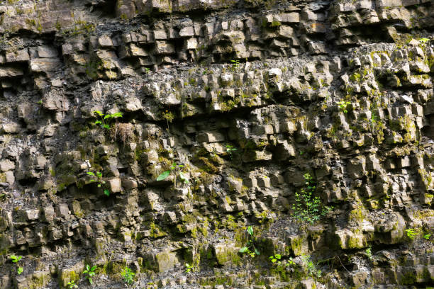 istock granite texture in outdoor nature 1367505649