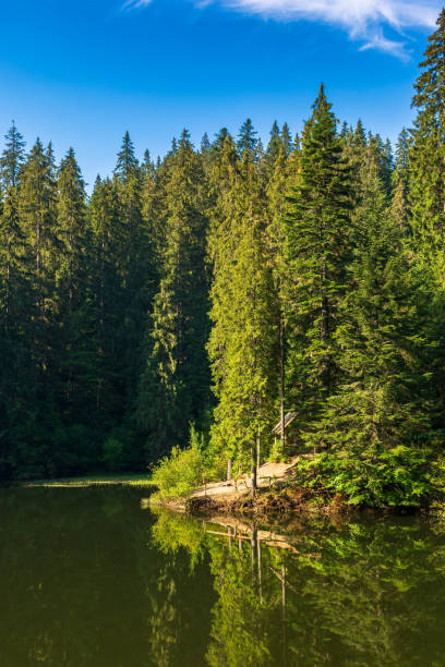 istock landscape with lake in summer 1367505691