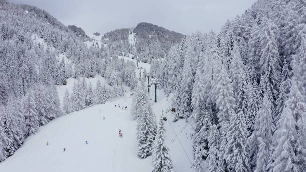 istock beautiful winter forest landscape 
funicular railway 1367505784