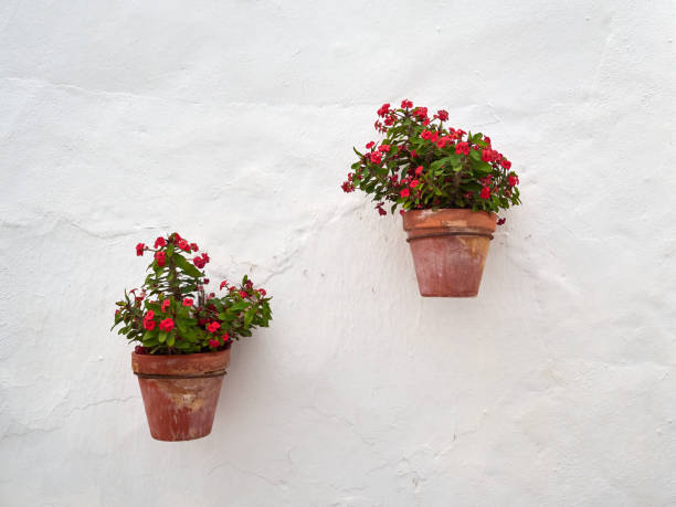 istock Two ceramic pots with red flowers hanging on a whitewahed wall 1367509092
