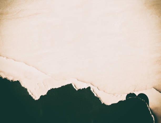 istock Blank black white old ripped torn paper crumpled creased posters grungy textures backdrop backgrounds surface placard 1367513906