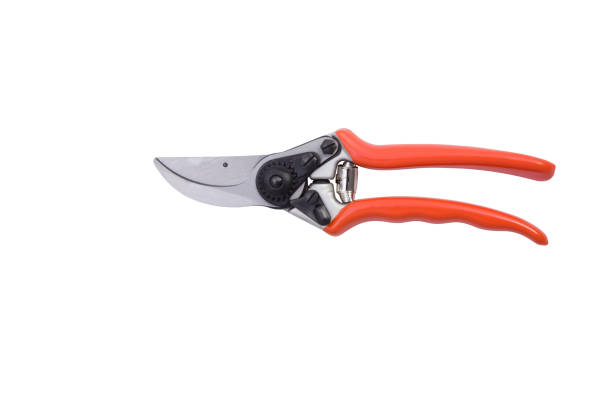 istock red gardening scissors isolated on a white background 1367514488