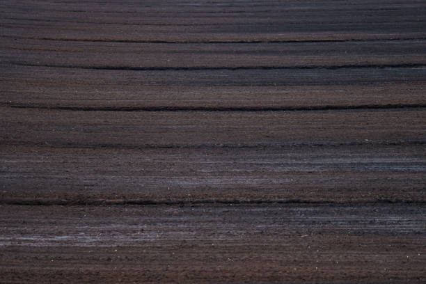 istock Landscape view of peat bog moss turbary. 1367520374