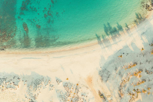 Aerial of A Beach in Baja California, Mexico Aerial of A Beach in Baja California, Mexico baja california sur stock pictures, royalty-free photos & images