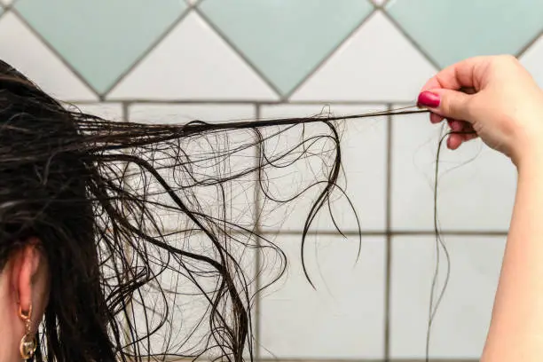 Photo of Female painful long dark hair on the head, falls out after a shower.