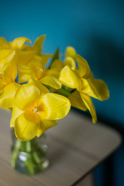 Yellow tulips in vase, on the table.