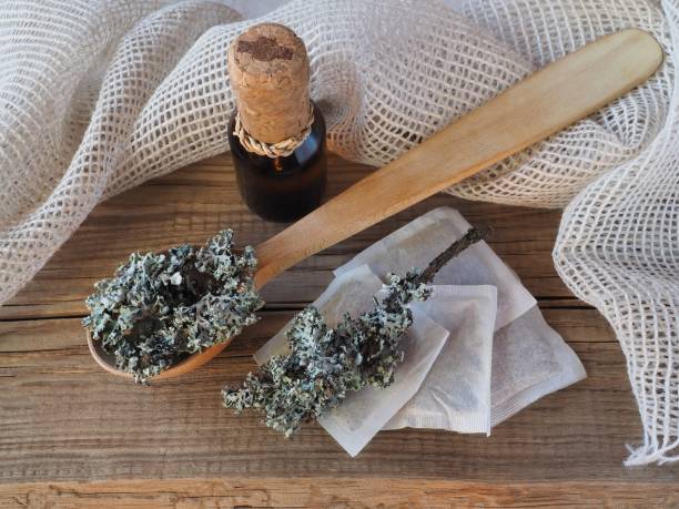 istock Medicinal herb moss lichen in a spoon, tea bags, drinking extract on a wooden background, top view, flat layout. Useful plant parmelia sulcata for use in medicine, homeopathy and cosmetology 1367530331