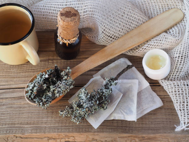 Medicinal herb moss lichen in a spoon, tea bags, drinking extract, tea, ointment on a wooden table, top view, flat layout. Useful plant parmelia sulcata for use in medicine, homeopathy and cosmetology