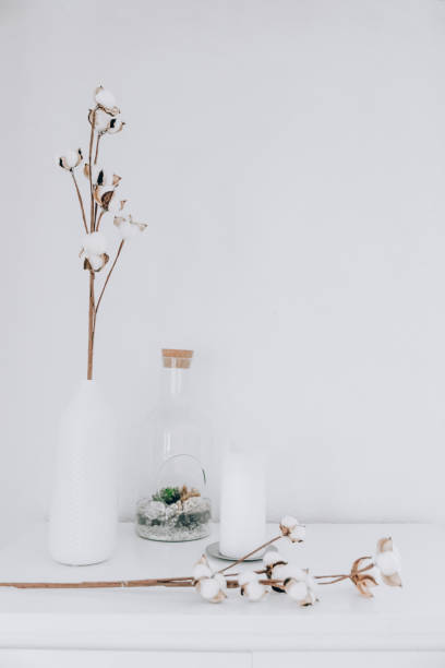 istock Cotton flower branches as modern interior decoration. 1367532864