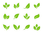 istock Set of green leaf icons. Leaves icon. Leaves of trees and plants. Collection green leaf. Elements design for natural, eco, bio, vegan labels. Vector illustration. 1367534666