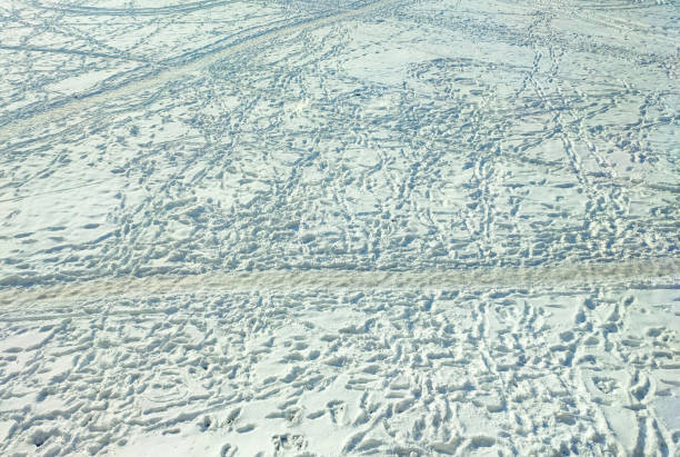 istock Square full of snow and footprintsFootprints and wheels on thick snowBlizzardice storm 1367534752