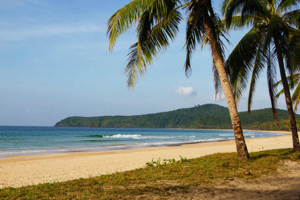 istock Palm trees on the seashore. Seascape. The tropics. Coconut palms. Philippines. 1367535921