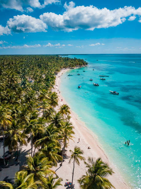 aerial view of saona island in dominican republuc. caribbean sea with clear blue water and green palms. tropical beach. the best beach in the world. - punta cana fotos stockfoto's en -beelden
