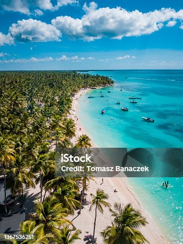 istock Aerial view of Saona Island in Dominican Republuc. Caribbean Sea with clear blue water and green palms. Tropical beach. The best beach in the world. 1367536251