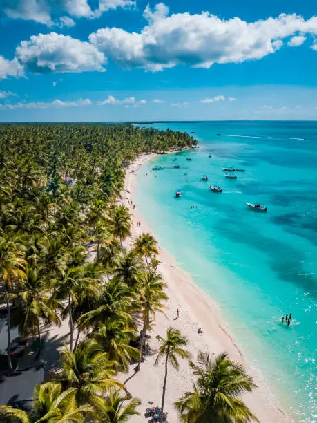 Aerial view of Saona Island in Dominican Republuc. Caribbean Sea with clear blue water and green palms. Tropical beach. The best beach in the world.