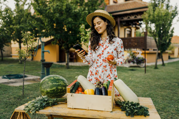 istock Female farmer using her smart phone and selling organic vegetables 1367536330
