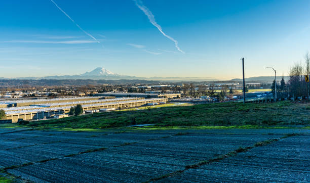 istock Tukwila And Rainier 8 1367537584