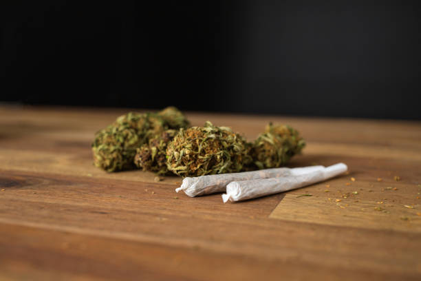 Male hands rolling marijuana joint Marijuana cannabis joint in coffee shop Amsterdam with CBD weed buds. cannabis plant stock pictures, royalty-free photos & images