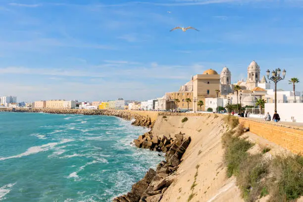 Beautiful view at day of the cathedral of Cadiz called cathedral de Santa Cruz with its 2 towers and its golden dome a blue sky and a blue ocean in Cadiz Andalusia Spain Europe
