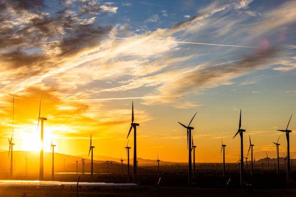 팜스프링스 캘리포니아의 태양전지 패널과 풍차의 일출 보기 - solar panel wind turbine california technology 뉴스 사진 이미지