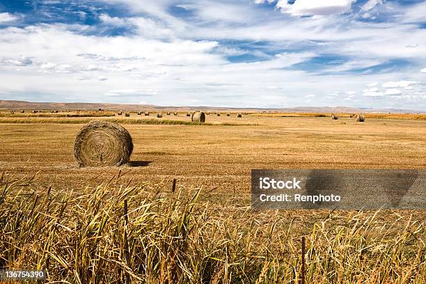 Hay Bales Stockfoto und mehr Bilder von Agrarbetrieb - Agrarbetrieb, Blau, Cricket-Tor