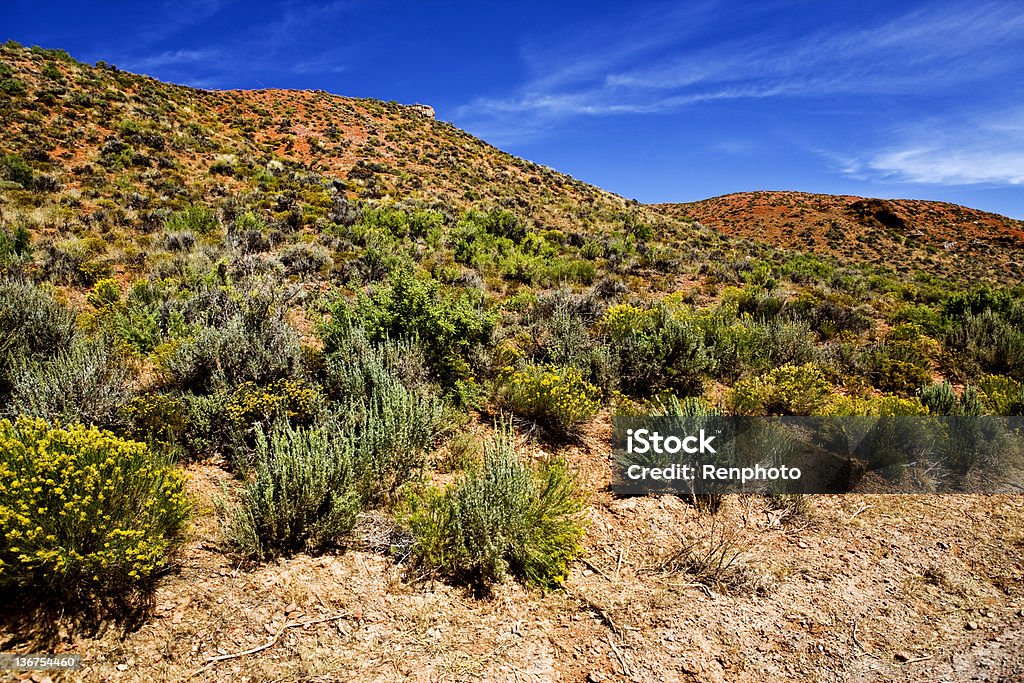 Désert Lanscape l'Utah - Photo de Beauté libre de droits