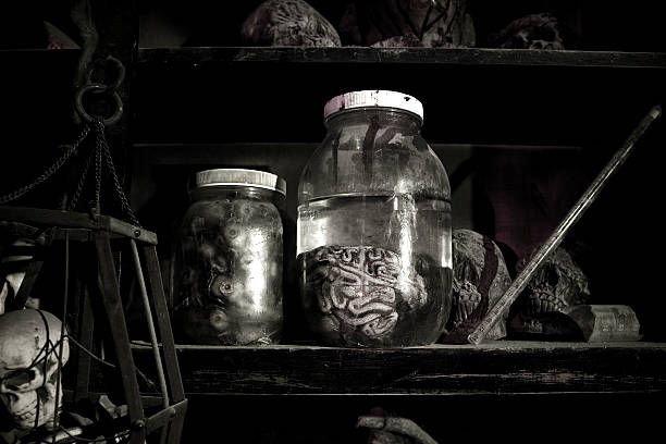 Halloween: Brains and Eyeballs Brains and Eyeballs brain jar stock pictures, royalty-free photos & images