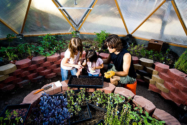 дети насаждения из семян - gardening vegetable garden action planting стоковые фото и изображения