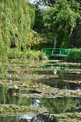 Pond with water lilies in Giverny at summer day