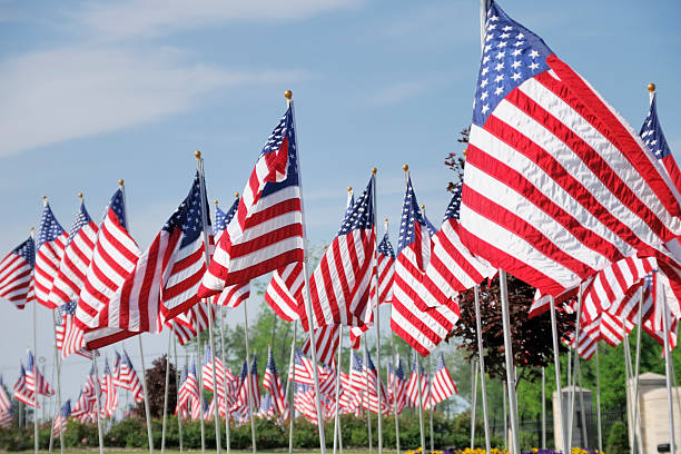 istock American Flags on Memorial Day  at a Cemetery 136754718