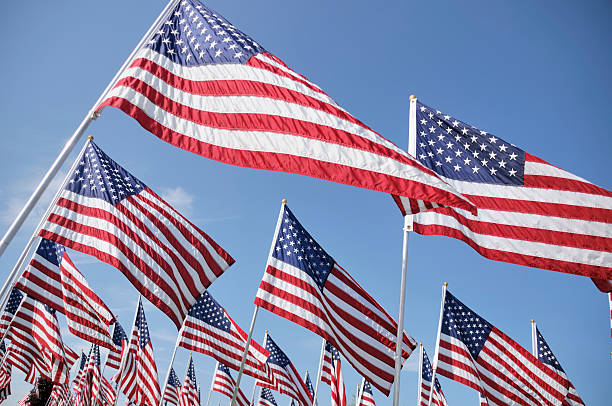 istock American Flags on Memorial Day  at a Cemetery 136754734