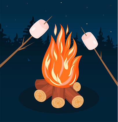 Bonfire with marshmallow concept