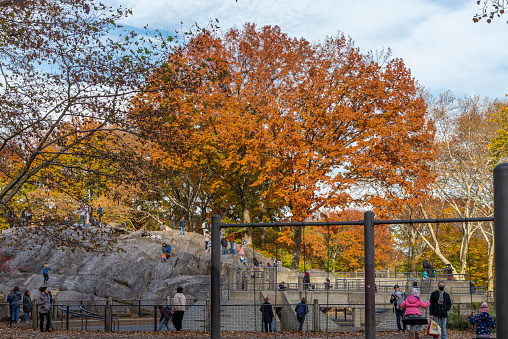 New York’s Central Park in autumn