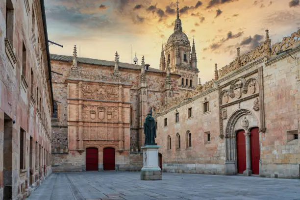view of the main facade of the University of Salamanca in Spain, where is the frog on the facade"r"n