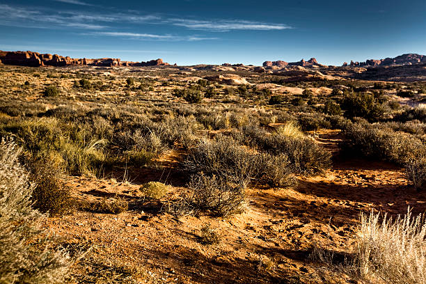 istock Southern Utah Desert Landscape 136756056