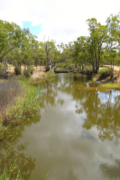 istock Horsham,  Victoria, Australia 1367561986