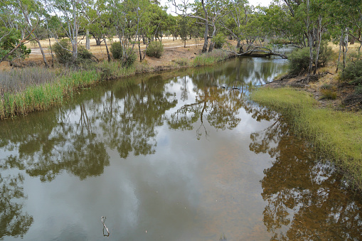 Scenic small dam on picturesque rural Australian farm